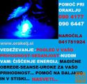 Pogled v prihodnost