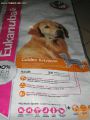 Hrana Za Pse Eukanuba Golden Retriver (Zlati Prinašalec)
