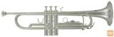 Trobenta Roy Benson Bb Tr-202S Student Pro