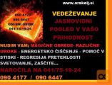 VEDEŽEVANJE JASNOVIDNI POGLED V VAŠO USODO 0904177