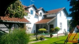 Novi Sad 350 m2 Samostojna