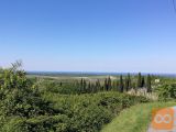 Buje Monte Baster Zazidljiva 4415 m2