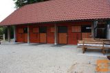 Oddaja konjskega boksa