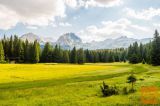 Zabljak Zazidljiva 3582 m2