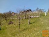 Sevnica Štajngrob 2000 m2