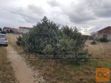 Nin Vrsi Zazidljiva 2894 m2