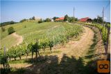 Romantični Domek V Osrčju Vinorodne ŠTajerske