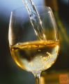 PRODAMO VINO