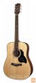 RICHWOOD D-40 MASTER Akustična kitara akustične kitare