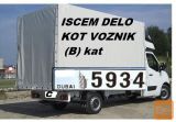 IŠČEM DELO KOT VOZNIK SLO-TUJINA