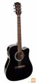 RICHWOOD D-40-CEBK MASTER Akustična kitara akustične kitare