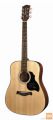 RICHWOOD D-40 MASTER Akustična kitara akustične kitare