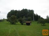 Poljčane Spodnja Brežnica 20000 m2