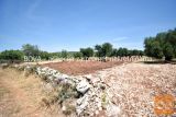 Sveti Filip I Jakov Turanj 1600 m2