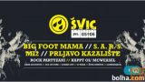 Festival Švic