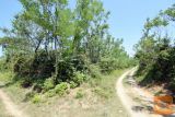 Privlaka Privlaka Zazidljiva 1000 m2