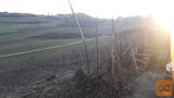 Šmarje pri Jelšah Predenca 2200 m2