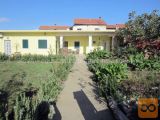 Nin Vrsi Samostojna 200 m2