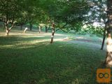 Ivančna Gorica Breg pri Zagradcu Zazidljiva 2000 m2