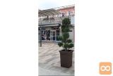 Koper Koper ostalo