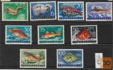 Jugoslavija fauna 1956