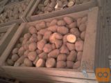 Drobni krompir različnih sort