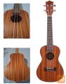 Ukulele-koncertna JM Forest model BC2
