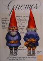 Knjiga Gnomes: Wil Huygen