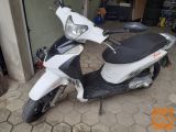 Longija TREVIS 50-2T-lep,registriran
