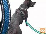 LED modri pasji povodec 120cm